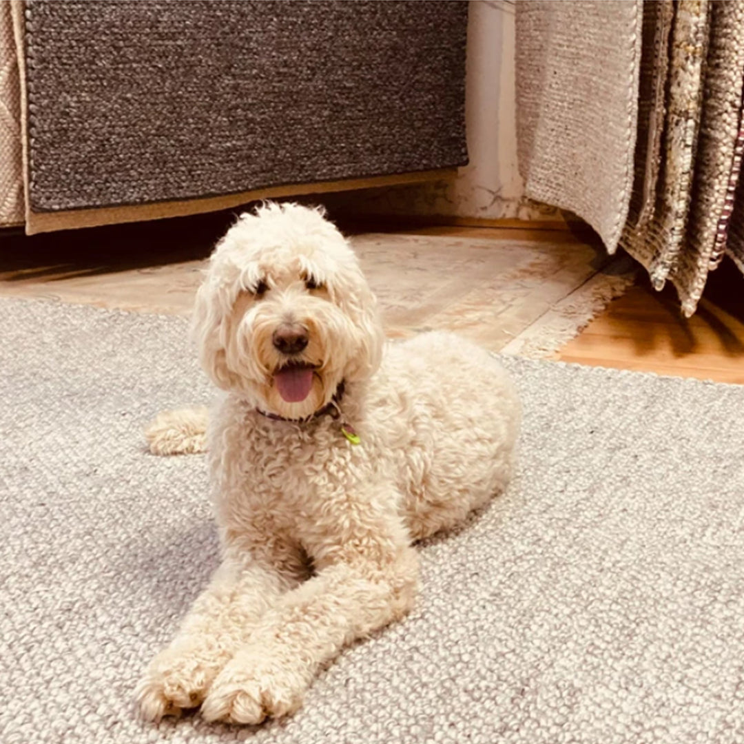 We love rugs - Love your rug