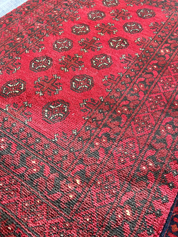 Akhcheh 195 x 296 cm