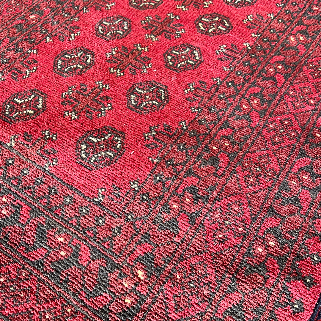 Akhcheh 195 x 296 cm