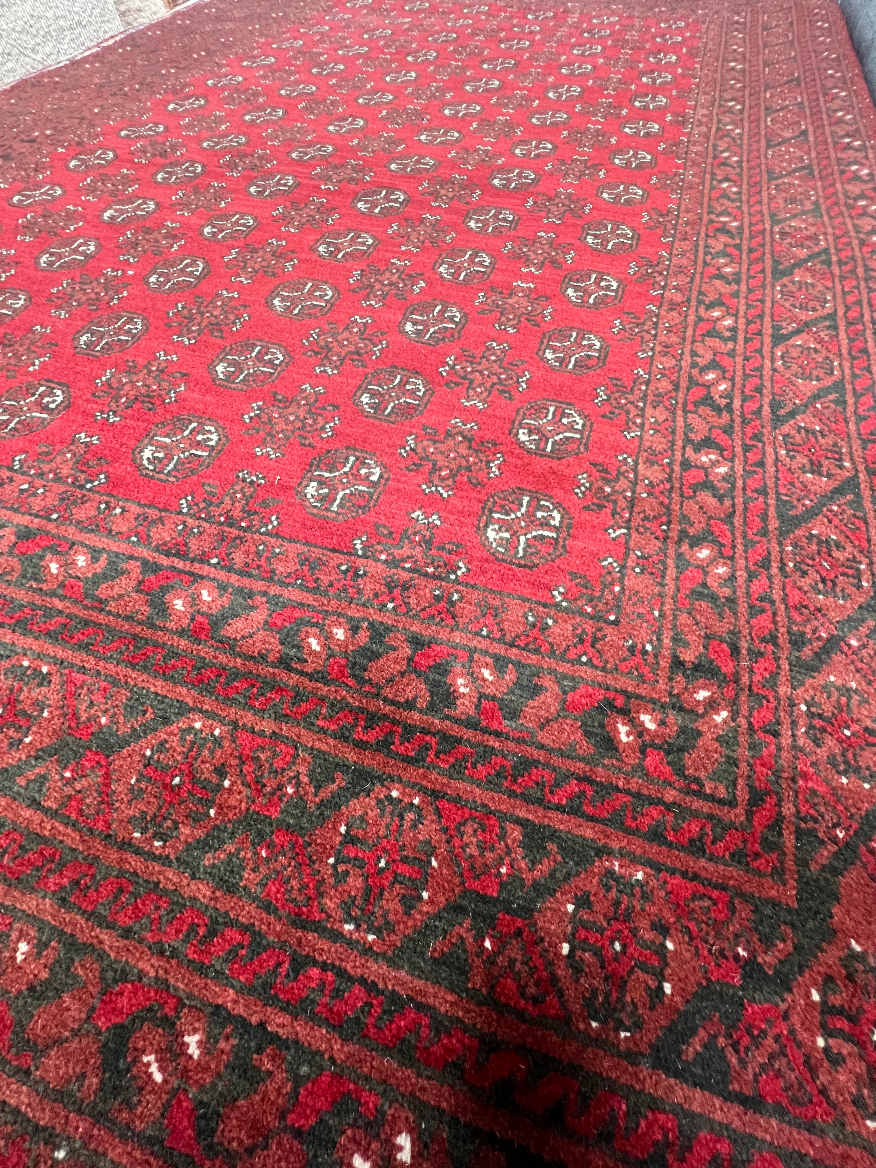 Akhcheh 195 x 296 cm