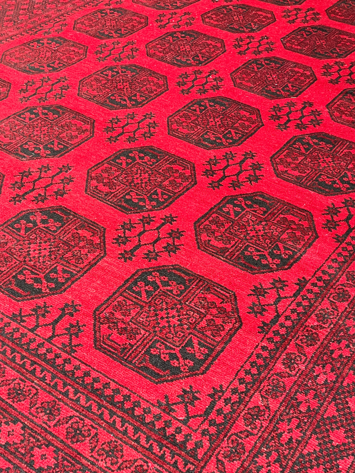 Akhcheh 248 x 345 cm