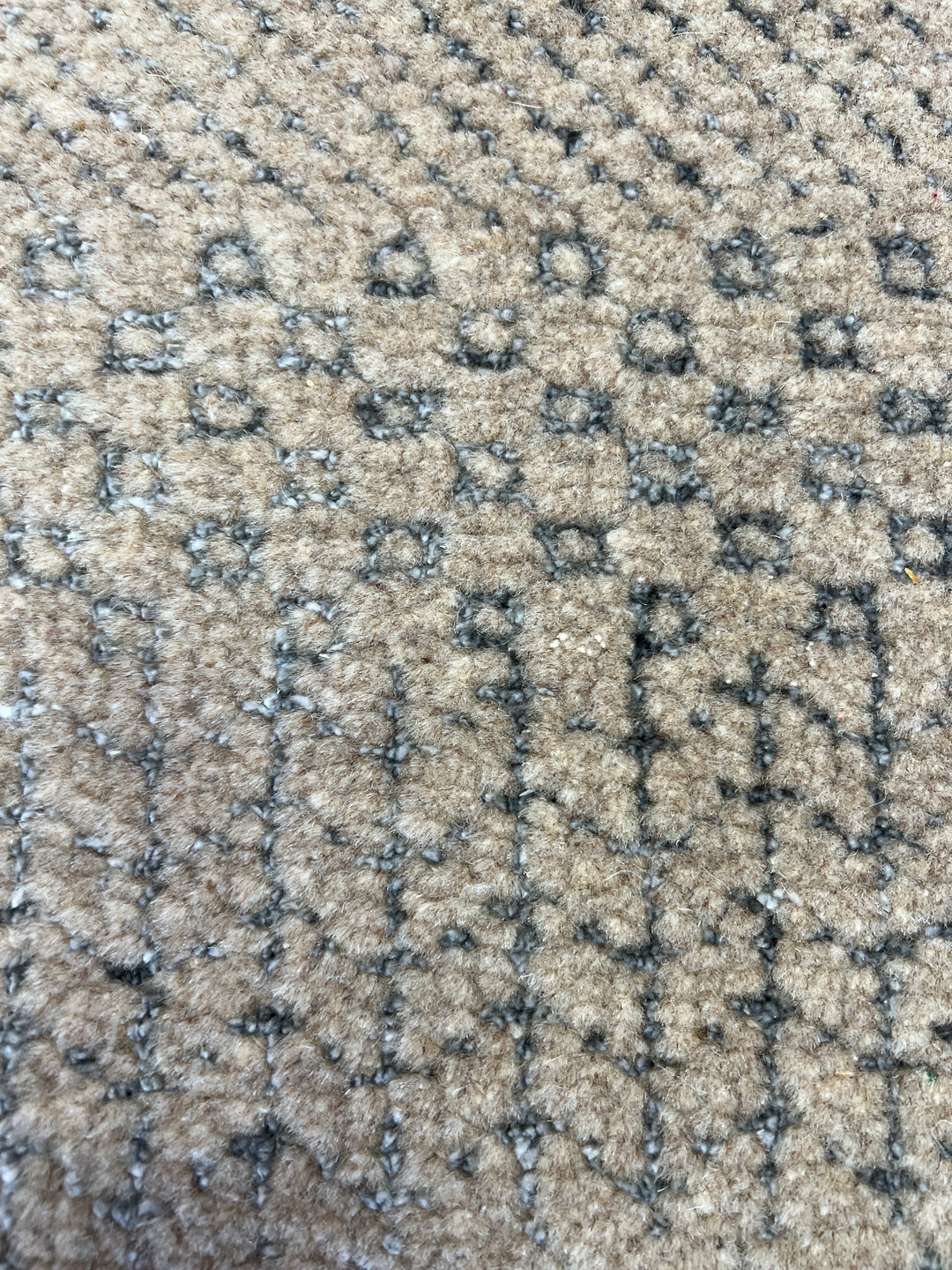 Grass - 247 x 305 cm