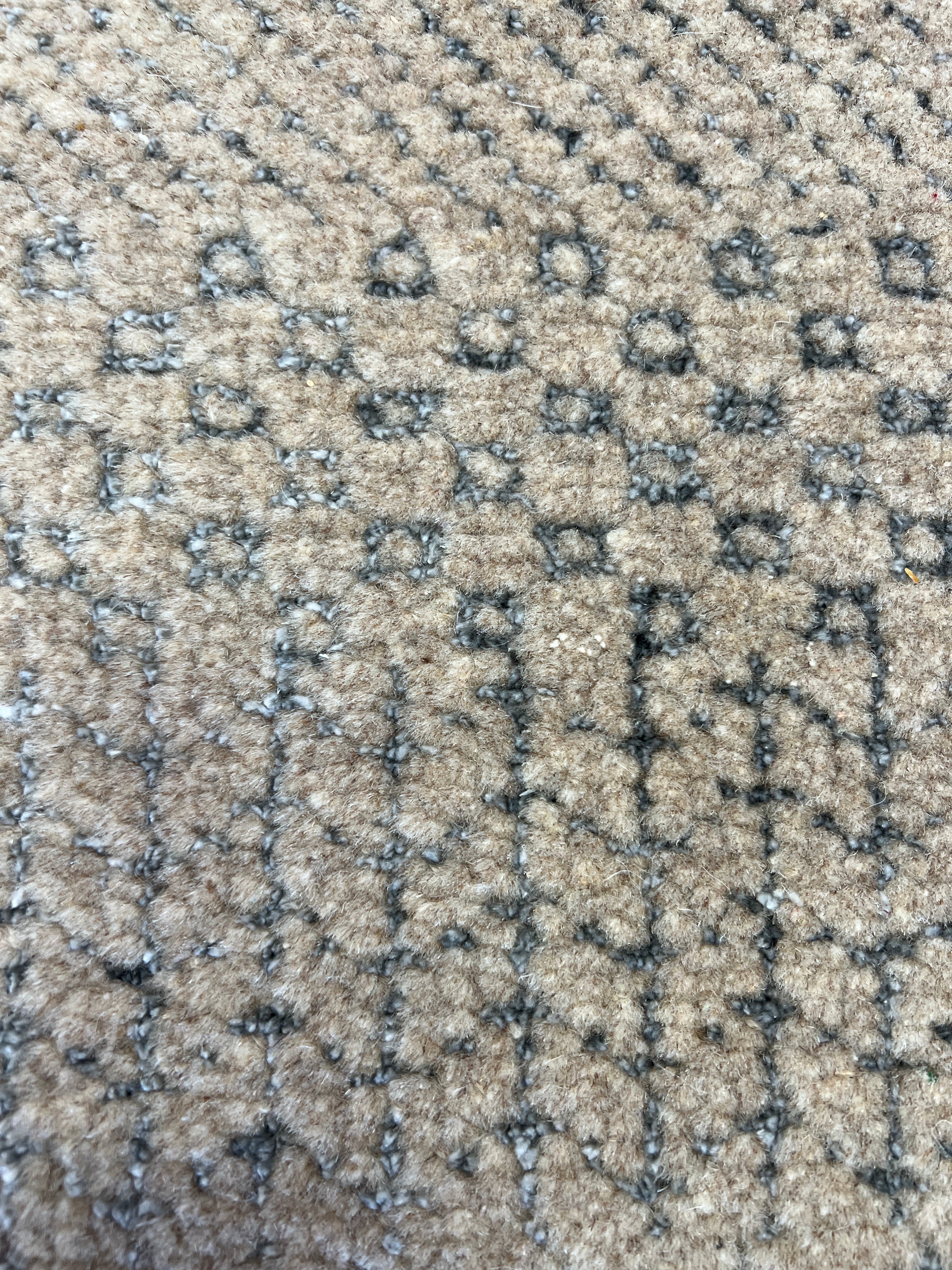 Grass - 247 x 305 cm-zoom-3