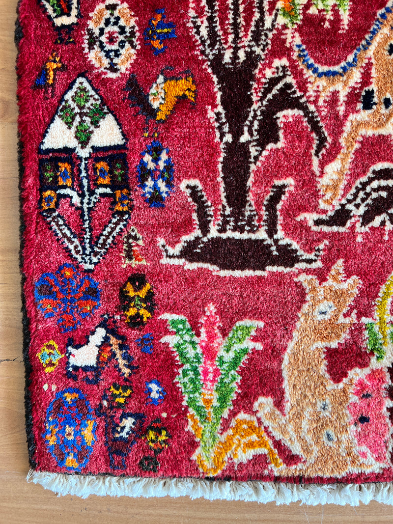 Qashqaiee QQ5 - 60 x 60 cm-zoom-