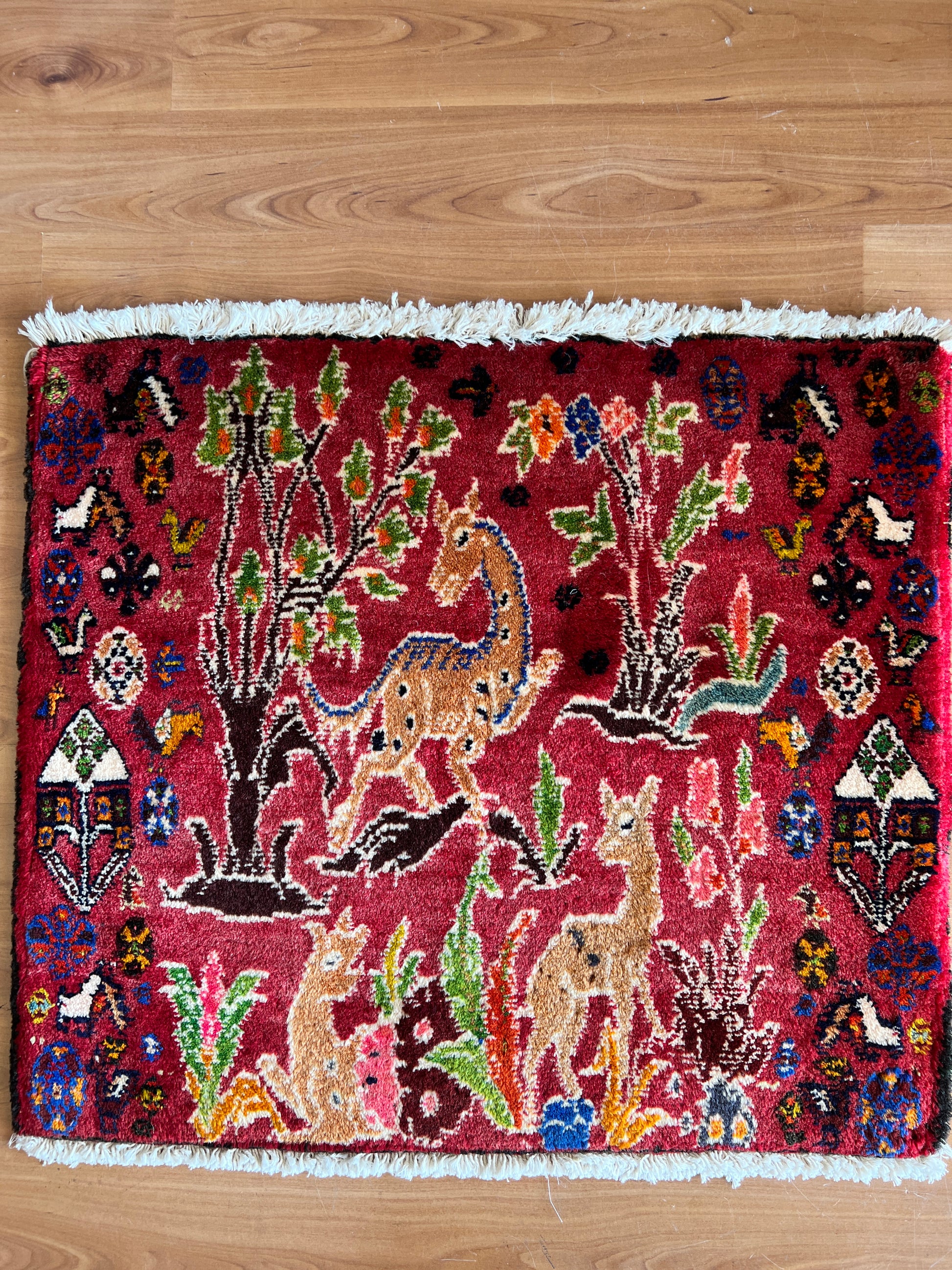 Qashqaiee QQ5 - 60 x 60 cm-1