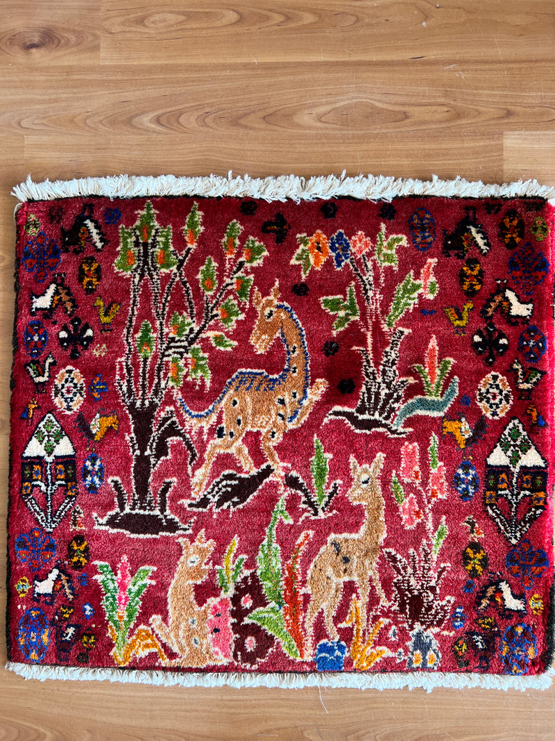 Qashqaiee QQ5 - 60 x 60 cm-zoom-