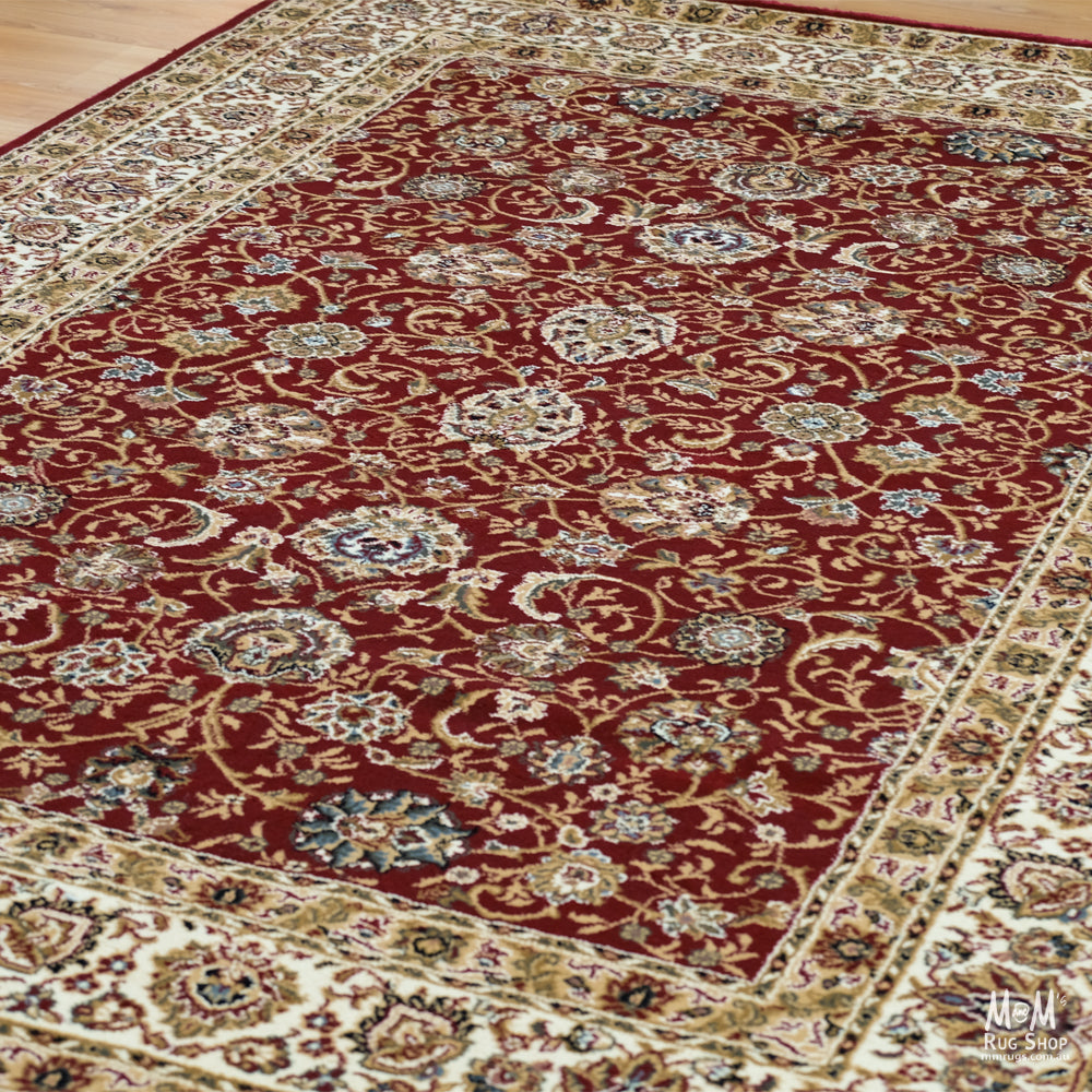 Adir Red-zoom-3
