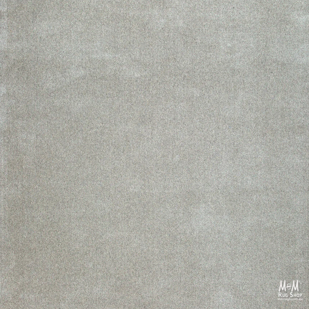 Braj Grey-zoom-2