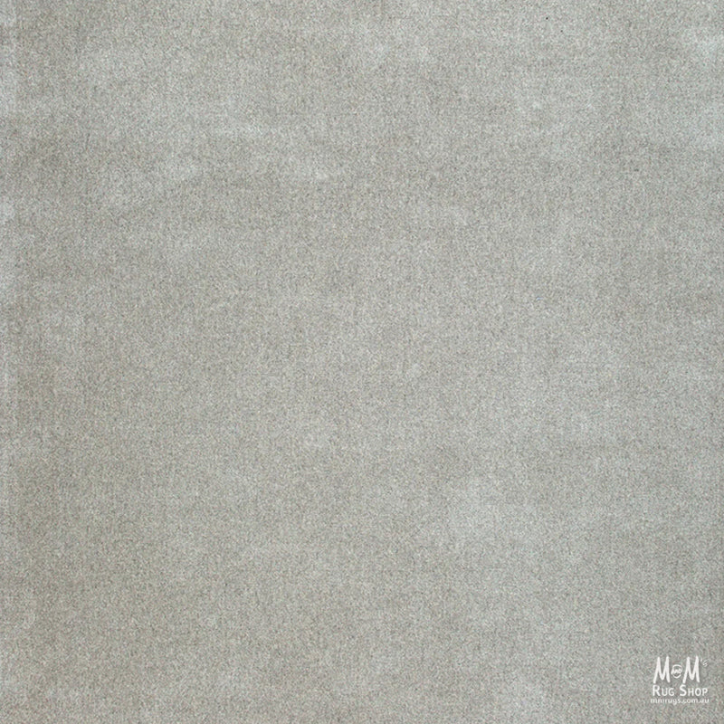 Braj Grey-zoom-