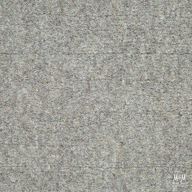 Braj Grey-zoom-