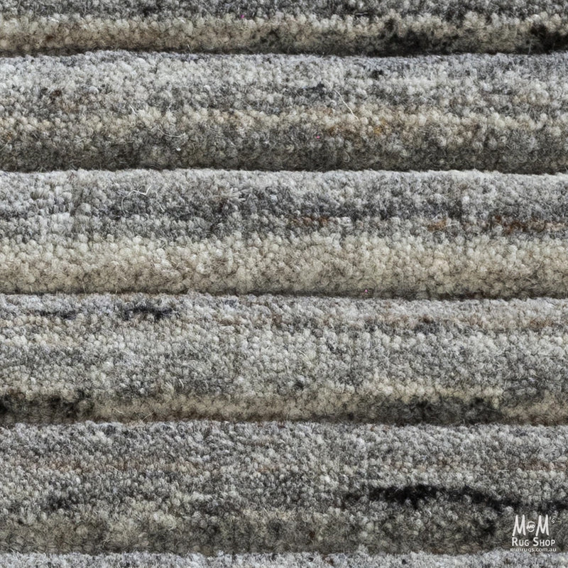 Celebrity American Walnut-zoom-