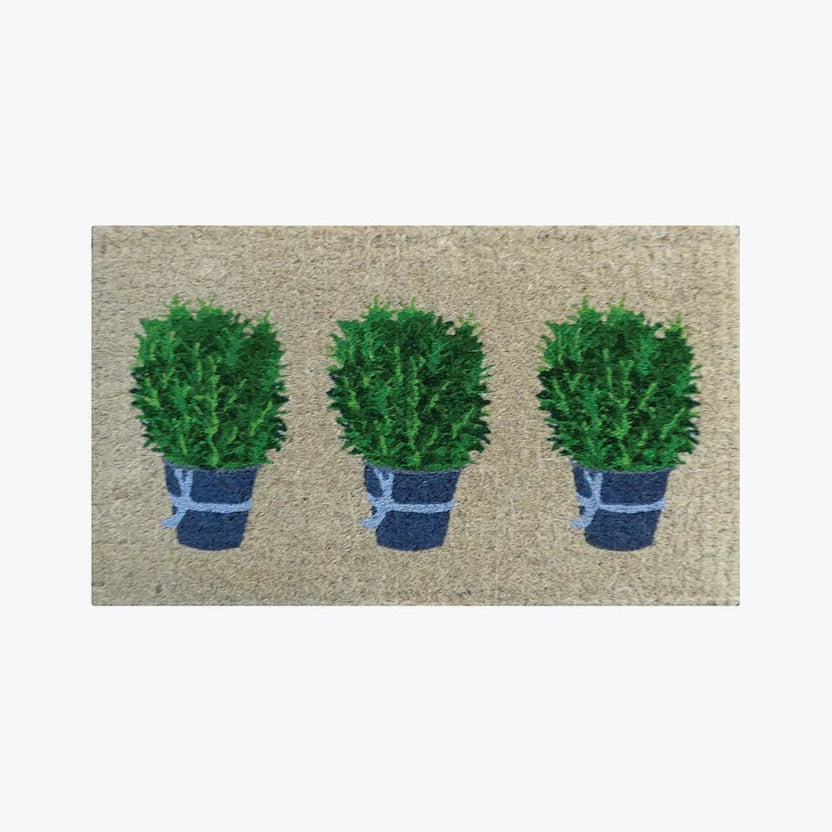 Doormat Rosemary Pots