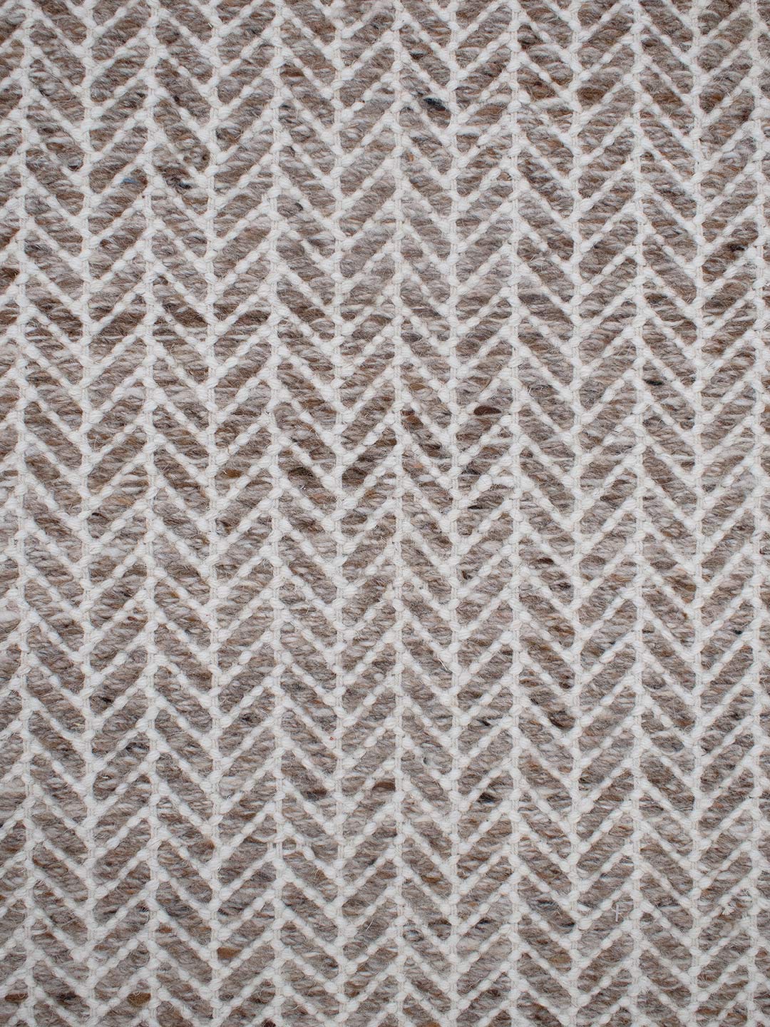 Echo Tawny