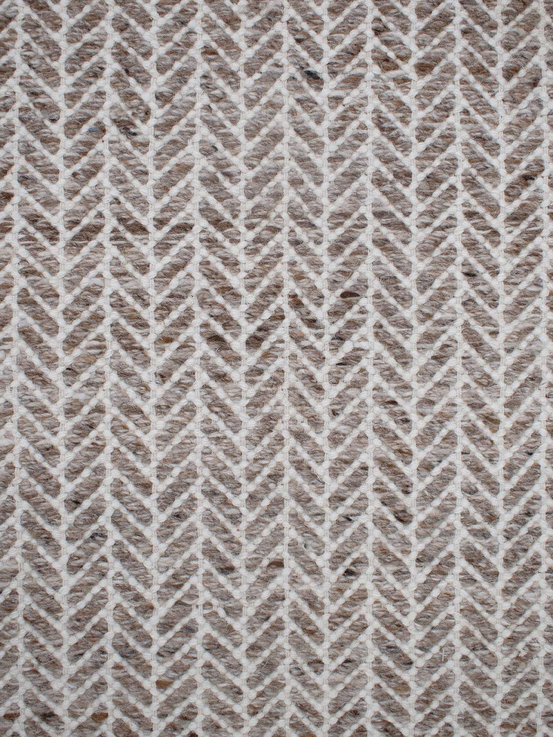 Echo Tawny-zoom-