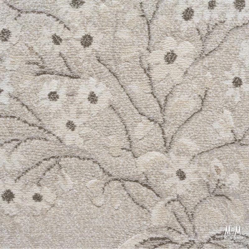 Eclipse Winter Garden-zoom-