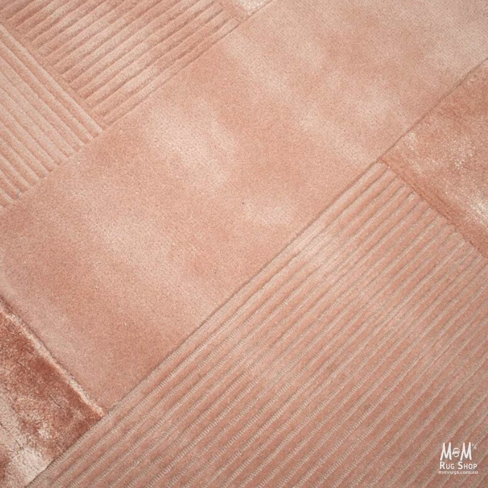 Foster Rosetta-zoom-2