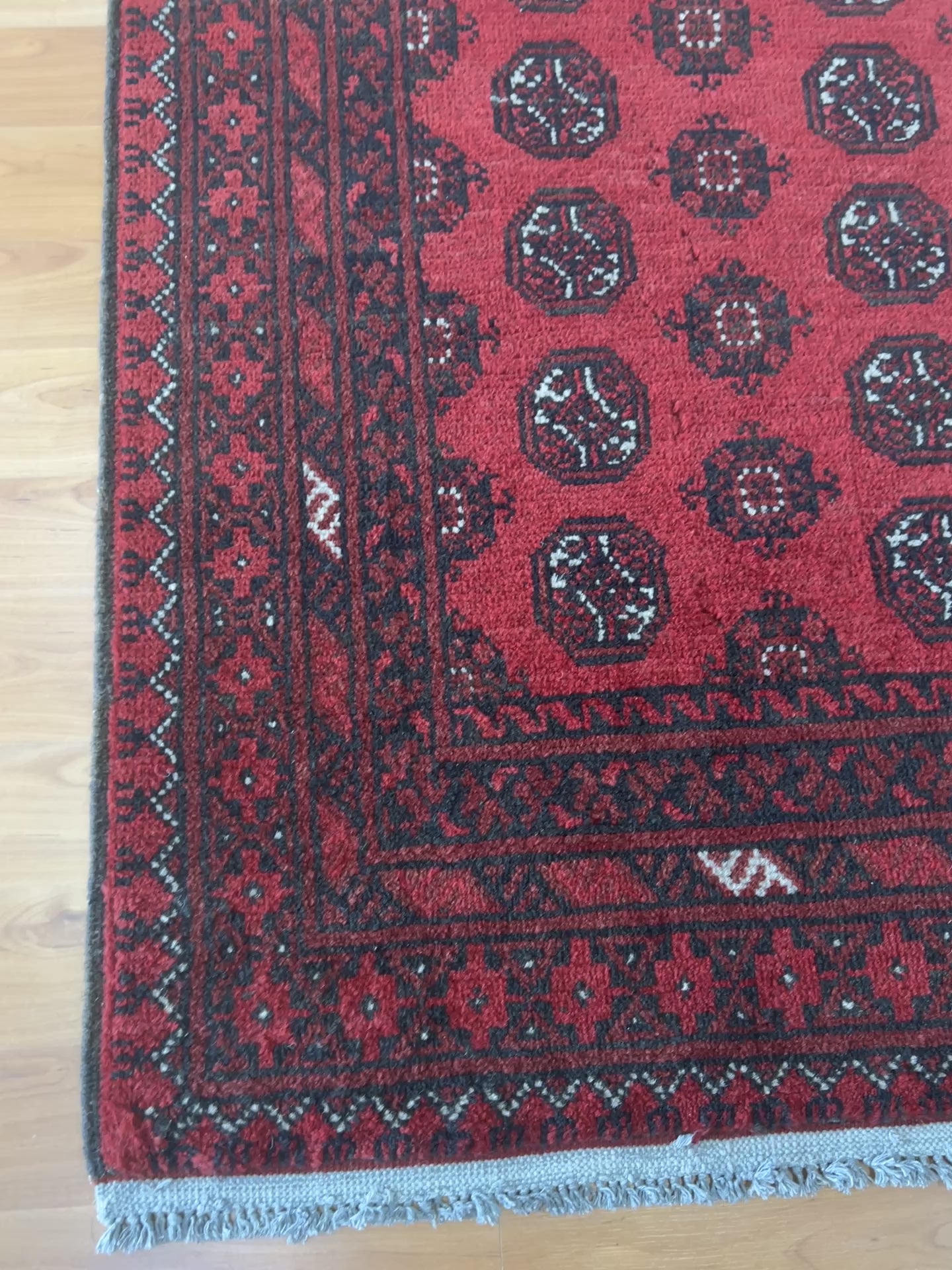 Akhcheh 98 x 145 cm-2