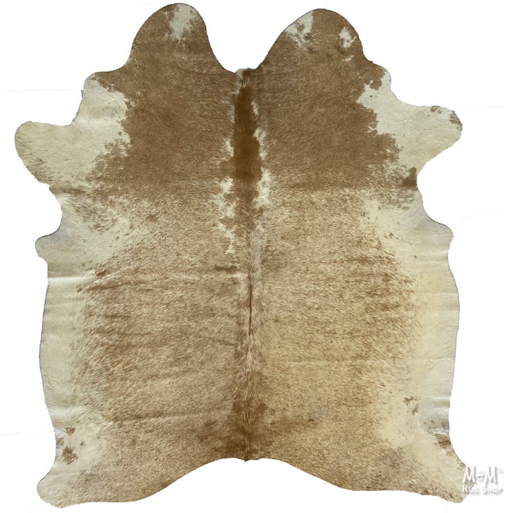 Cow Hide Longhorn B01