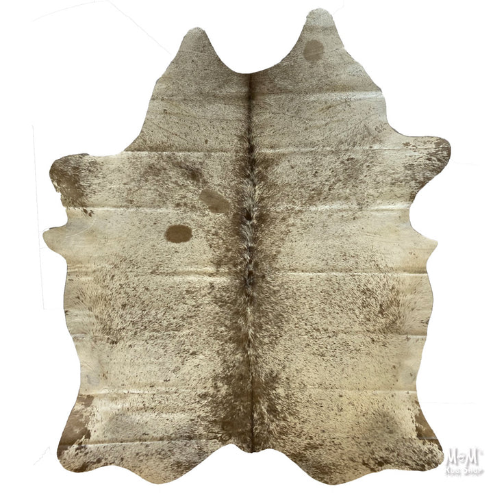 Cow Hide Longhorn B22