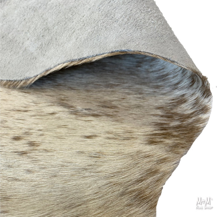 Cow Hide Longhorn B22