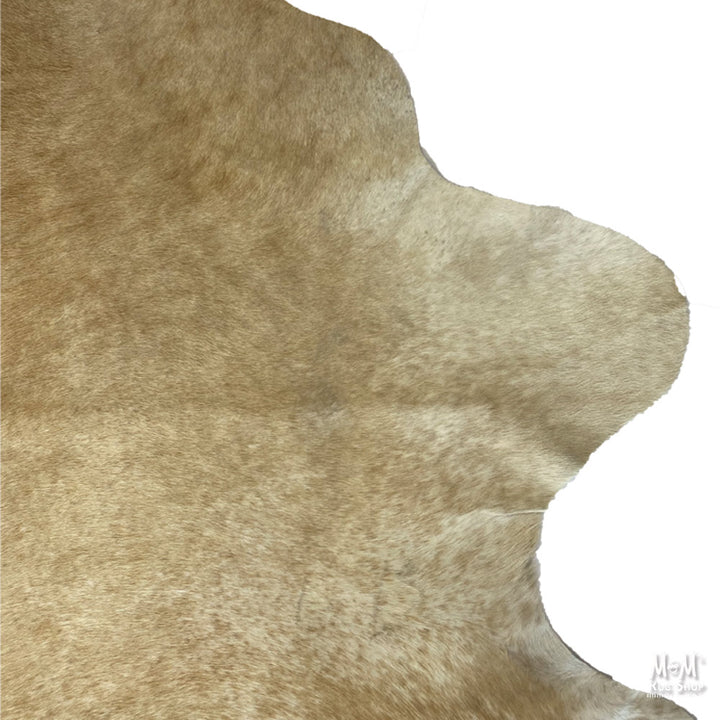 Cow Hide Longhorn B162
