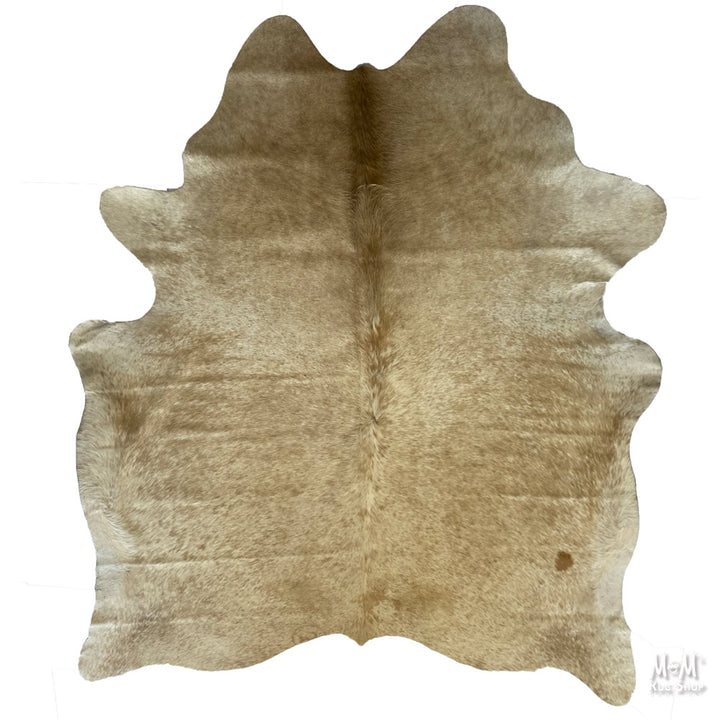 Cow Hide Longhorn B162