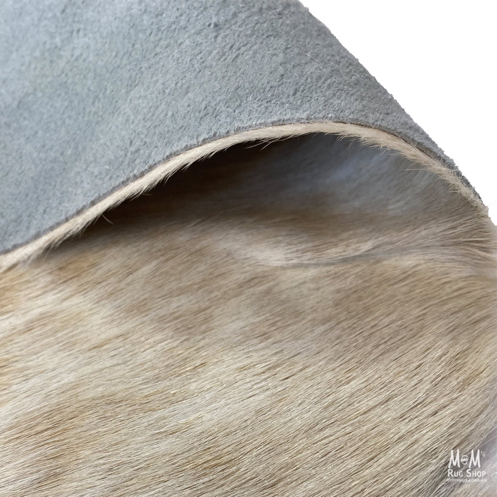 Cow Hide Longhorn B162