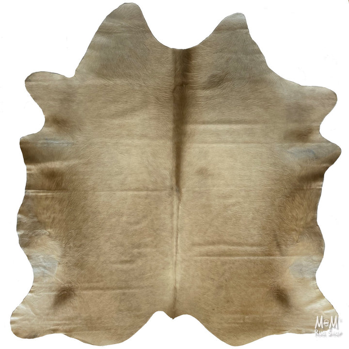 Cow Hide Longhorn D06