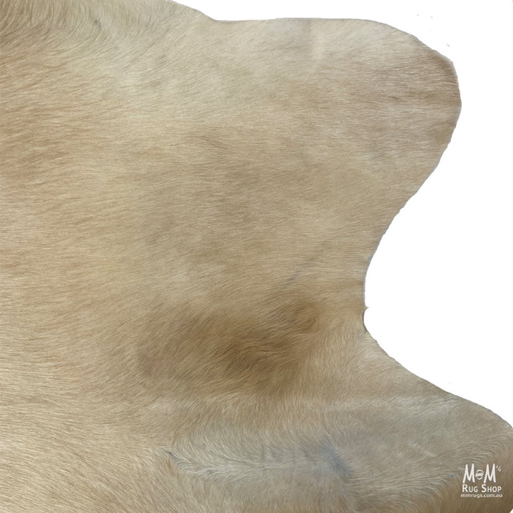Cow Hide Longhorn D06