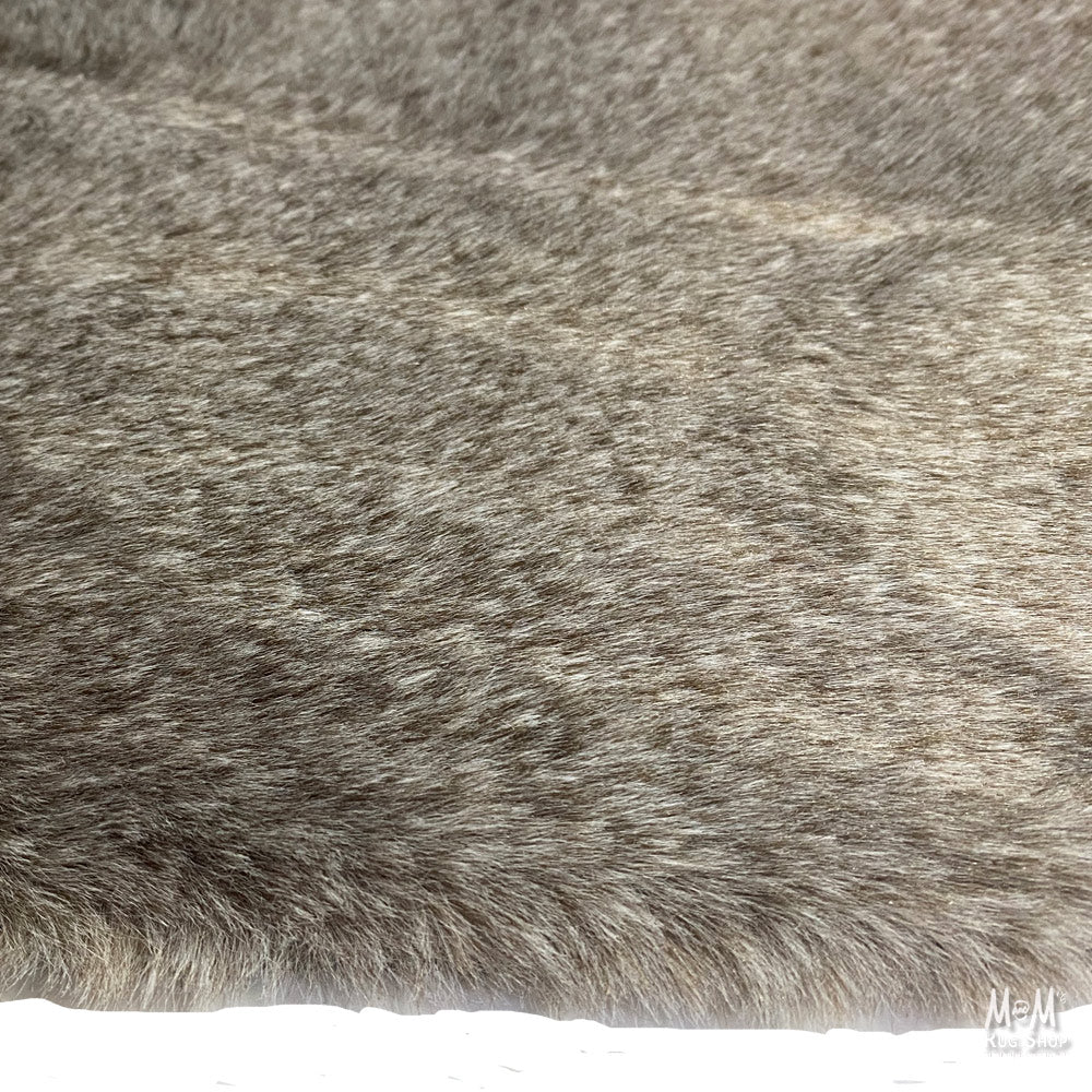 Sherbrooke Koala-zoom-4