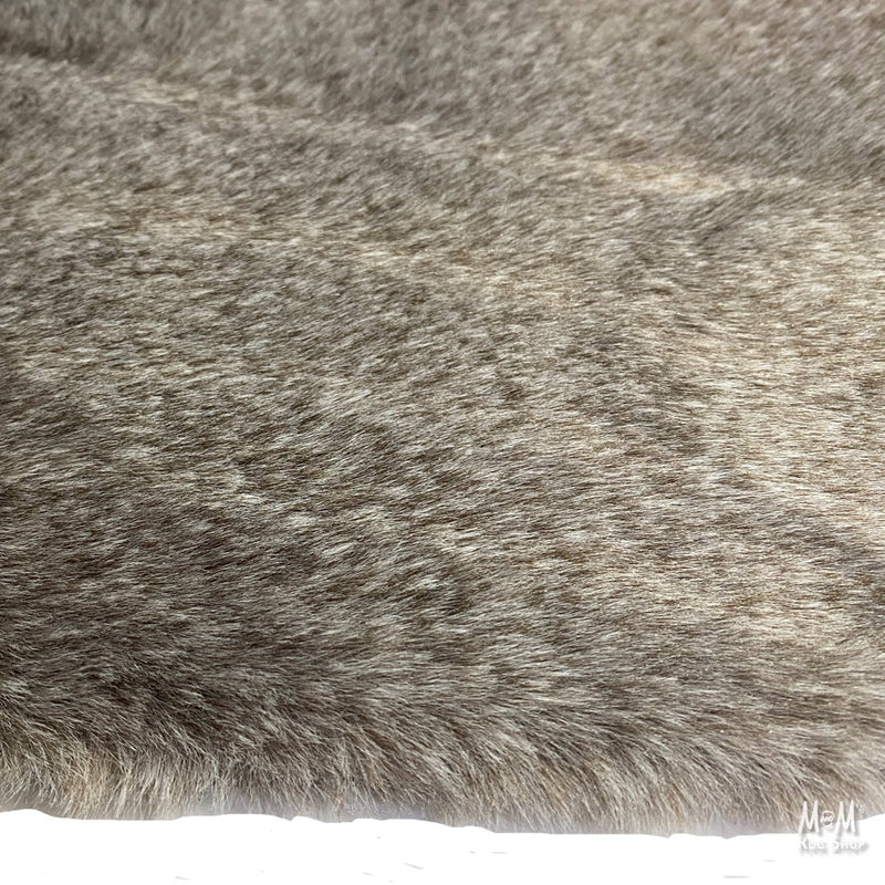 Sherbrooke Koala-zoom-