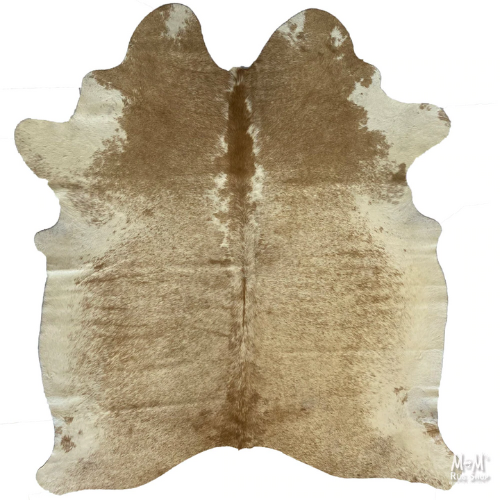Cow Hide Longhorn B01