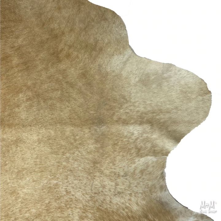 Cow Hide Longhorn B162