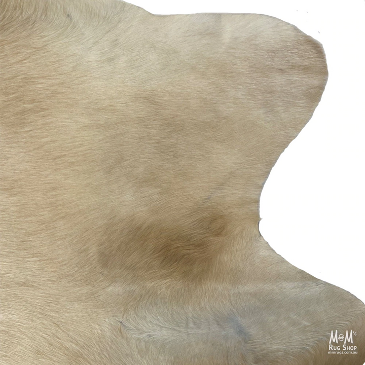 Cow Hide Longhorn D06