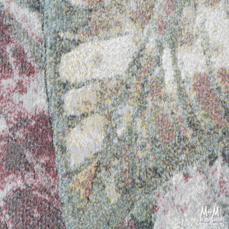 Kensington Botanic-zoom-