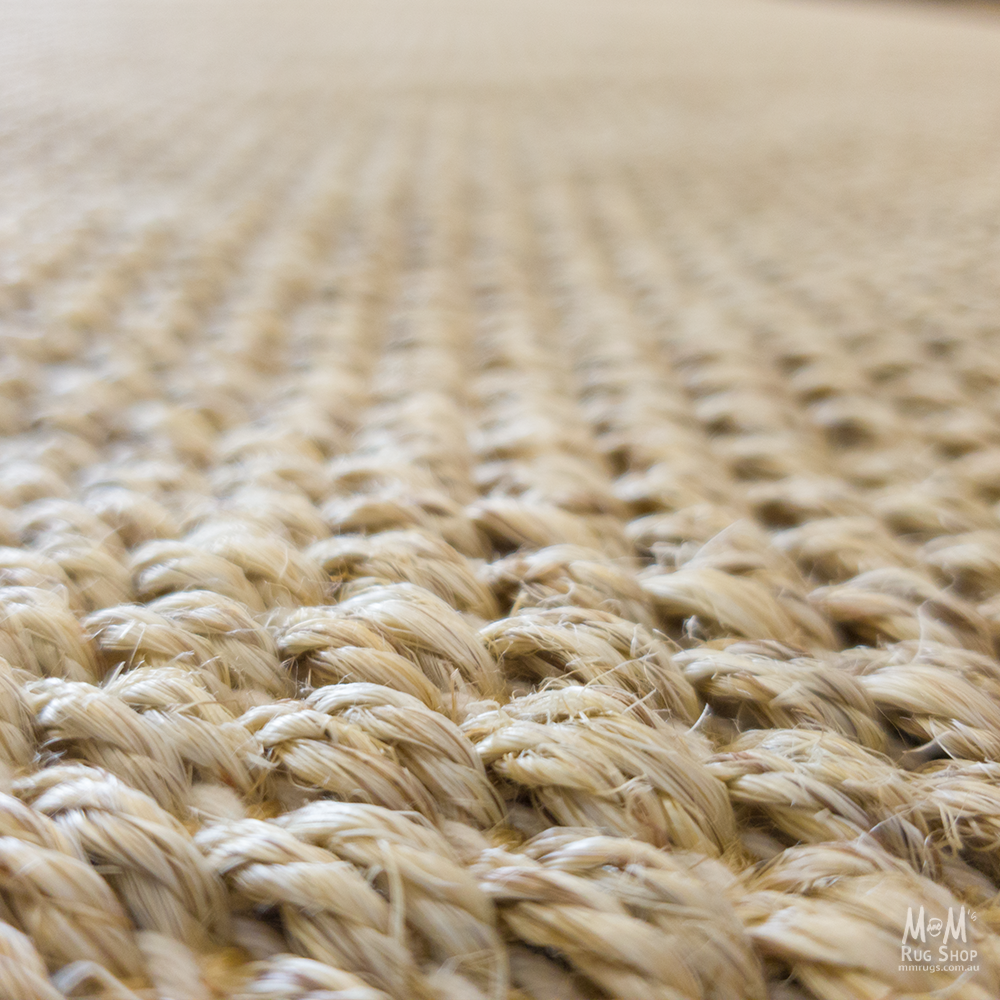 Moonah Wheat-zoom-5