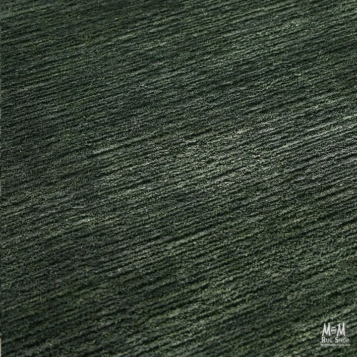 Shimmer Forest